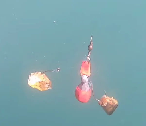 Screenshot 2026-01-18 204116.webp