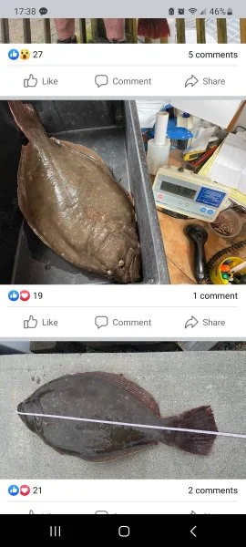 Screenshot_20230615_173800_Facebook.webp