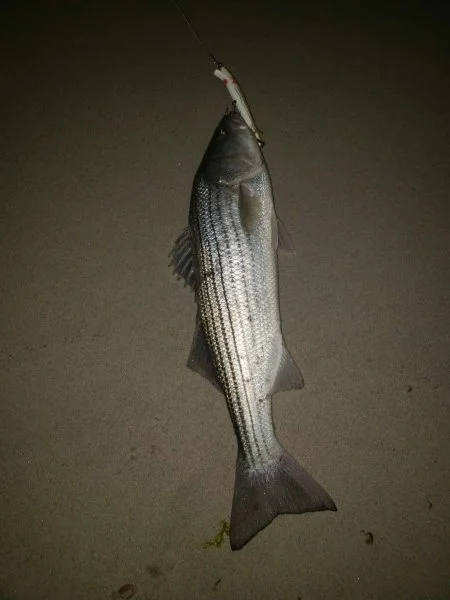 Screenshot_20230717_102941_Facebook.webp