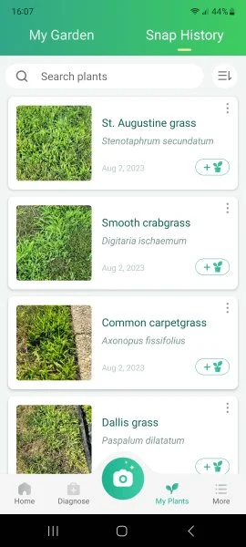 Screenshot_20230802_160746_PictureThis.webp