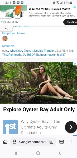 Screenshot_20250525-154200_Firefox.webp