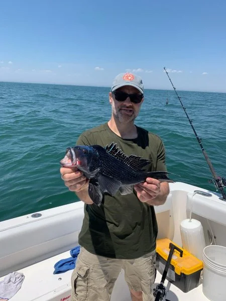 sea bass.webp