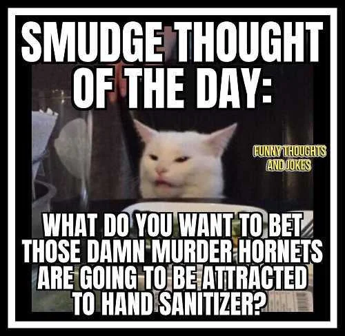 smudge-thought-of-day-murder-hornets-attracted-to-hand-sanitizer.webp