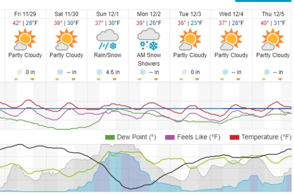 snow.webp