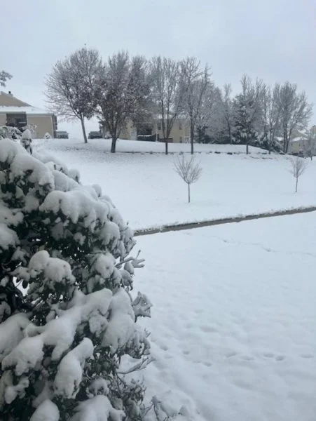 snow.webp