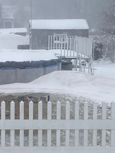 snow1.webp
