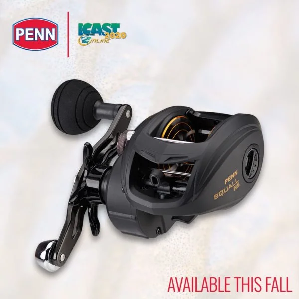 Squall 400 Low Profile pic.webp