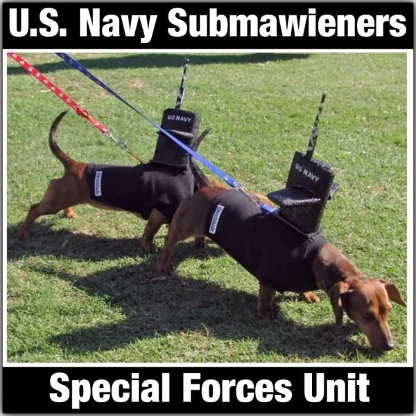 submaweiners.jpg.b96f625611c266cf6334fe3c7e990b4f.webp