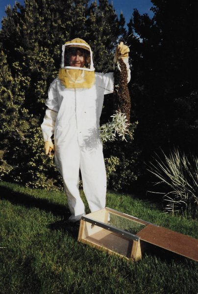 Swarm of Honey Bees.jpeg