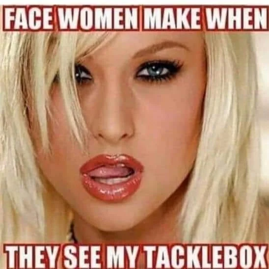 TackleBox.webp