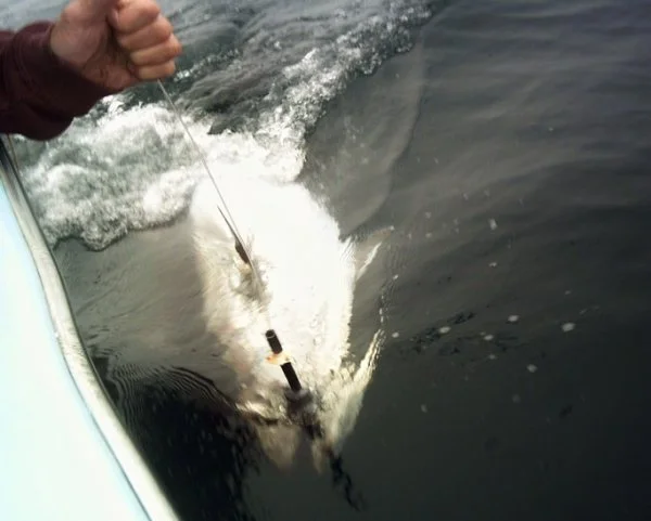 tmpphpLvdHBg (2).webp