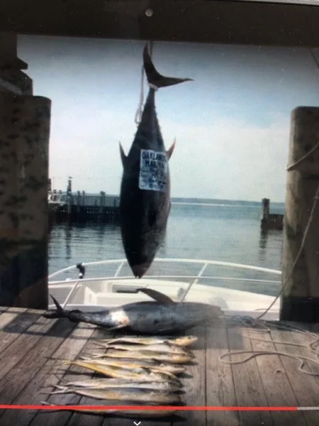 tuna.jpg