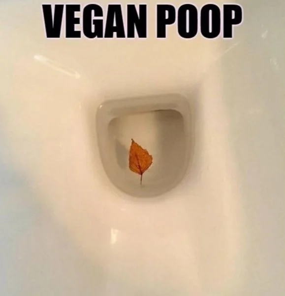 Vegan-Poop.jpg.6133dacfdf4cd7db45a63e7986e7b513.webp