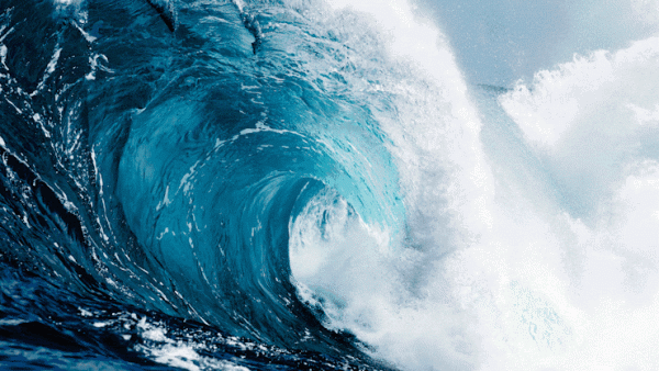 wave.gif
