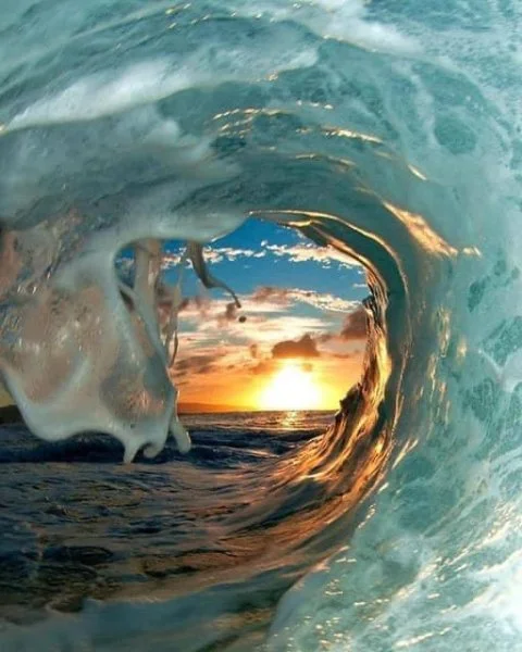 wave.webp