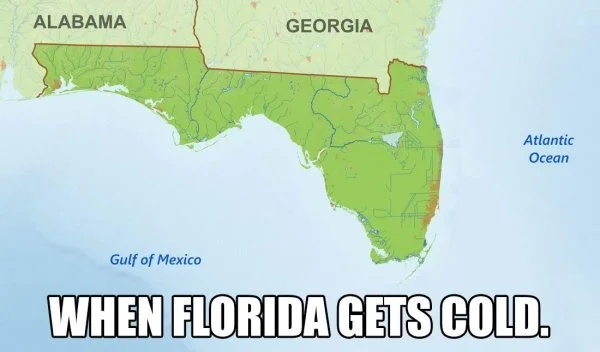 When Florida Gets Cold.webp