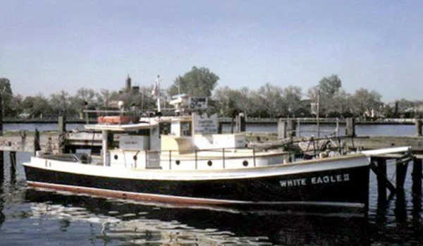 white eagle 2 picture.webp