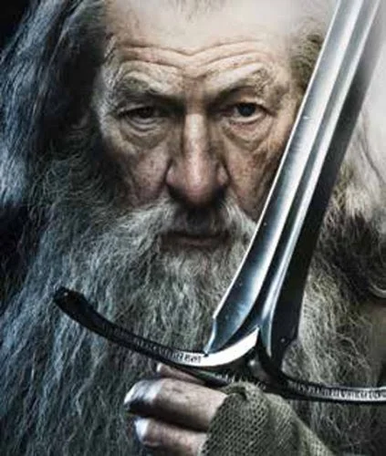 wizard.webp