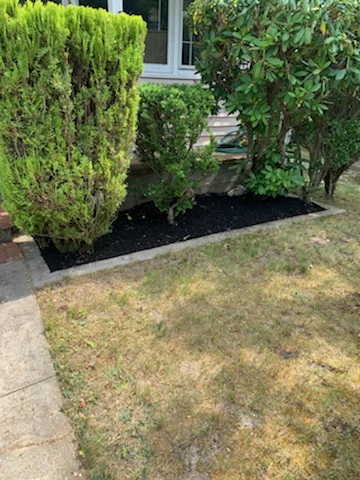 yard3.webp