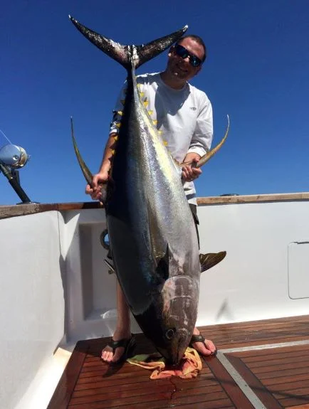Yellowfin.webp