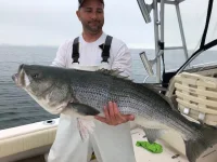 Big Bass.webp