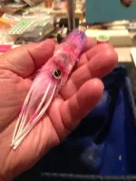New_Squid_2018_08_04.webp