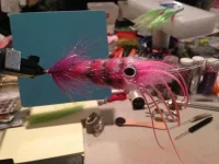 squid_3.webp