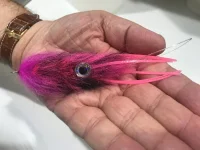 New_Brush_Squid.webp