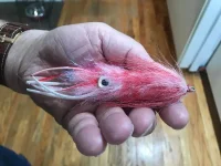 Red_White_Squid.webp