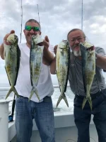 Mahi Mahi.jpg