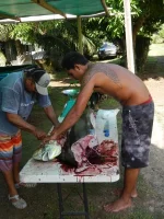 DSCN0820.webp