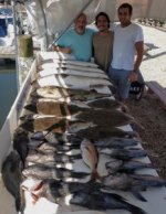 bloodline sporfishing