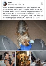 MISSING PUP IN THE WATER