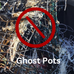 Ghost Pots: Killing Machines