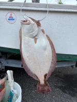 fluke.webp