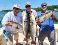 62125groupbass.webp