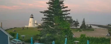 1750841300498.webp