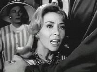 IMG_3937.gif