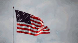 IMG_9579.gif
