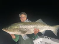 2025 eel bass.webp