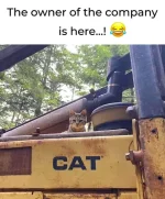 1752658577276.webp