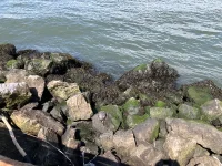 IMG_5710.webp