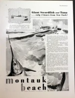 giant swordfish ad.webp