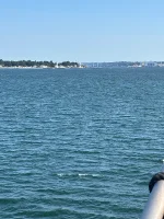 IMG_1558.webp