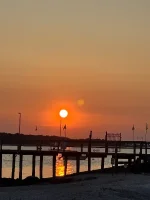 IMG_1586.webp