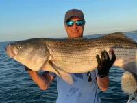 2025 49 Bass.webp