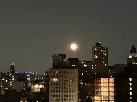 1754788858245.webp