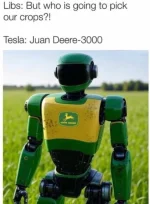 1754904332285.webp