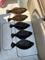2025 Joe Boat Fluke.webp