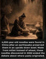 1756114224776.webp